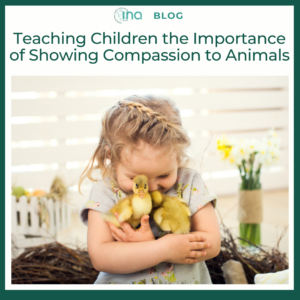INA Blog Teaching Children the Importance of Showing Compassion to Animals 1